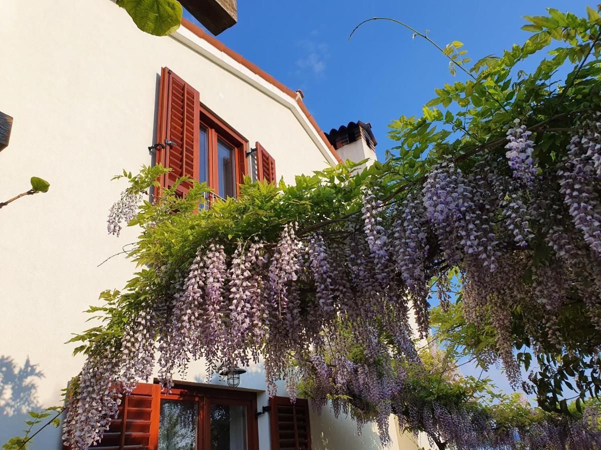 Vila Rosa Portorož Extérieur photo